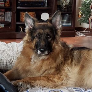 Meet your Posher, Terry